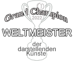 logo champion wcopa